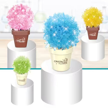 DIY SCIENTIFIC CREATIVE CRYSTAL FLOWER